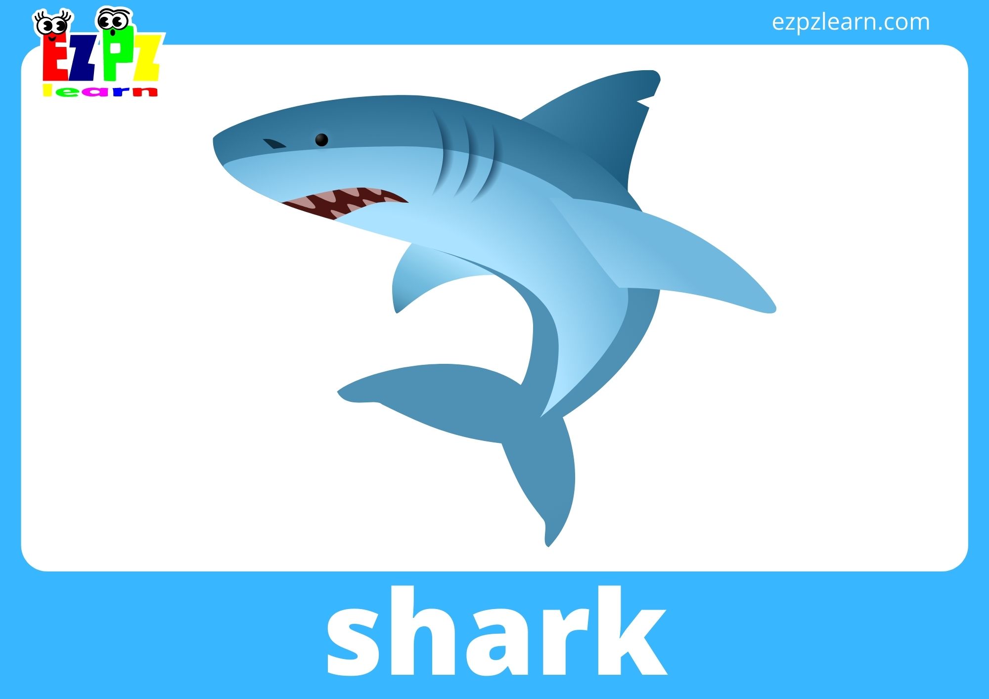 shark